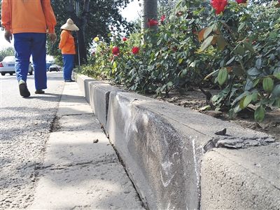 水泥仿真树桩制作_仿真水泥树_纸浆水泥做仿真吸水石