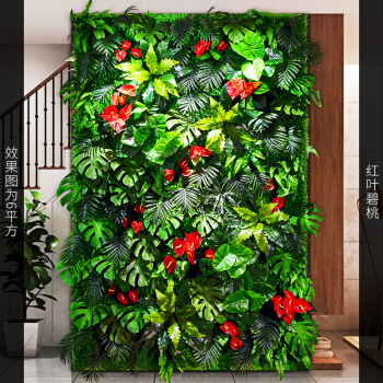 植物墙一般用什么植物_绿色植物墙_仿真绿化墙植物墙