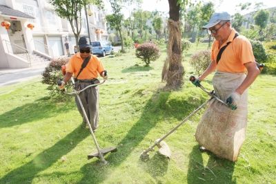 仿真藤条树叶_仿真榕树树叶_仿真树叶水泥树