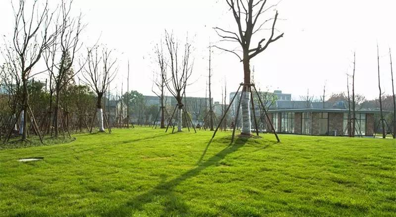 景观cad园林剖面图_园林景观工程_沈阳蒸日景观雕塑造景园林工程设计有限公司