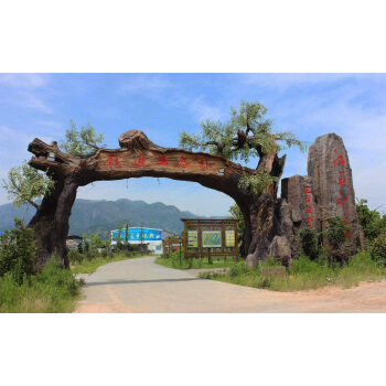 成都仿真树_仿真景观树灯_沈阳仿真景观树