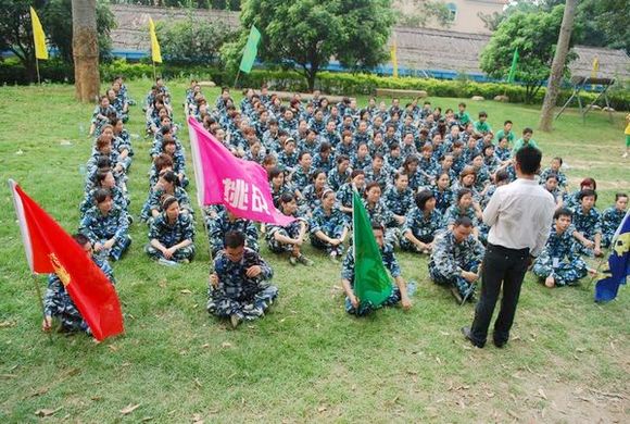 佛山植物墙公司_佛山植物墙公司_苏州植物墙公司