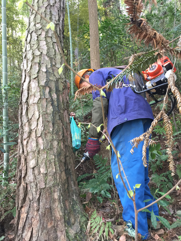 半实物仿真工业三维仿真_rtl仿真通过,网标仿真错误 eetop_松树仿真