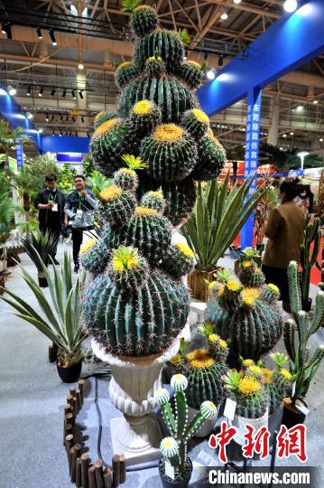 仿真老鼠玩具批发_植物墙仿真_仿真植物批发