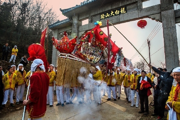 仿真花设备_假花装饰花客厅仿真_仿真藤条花藤假花藤蔓