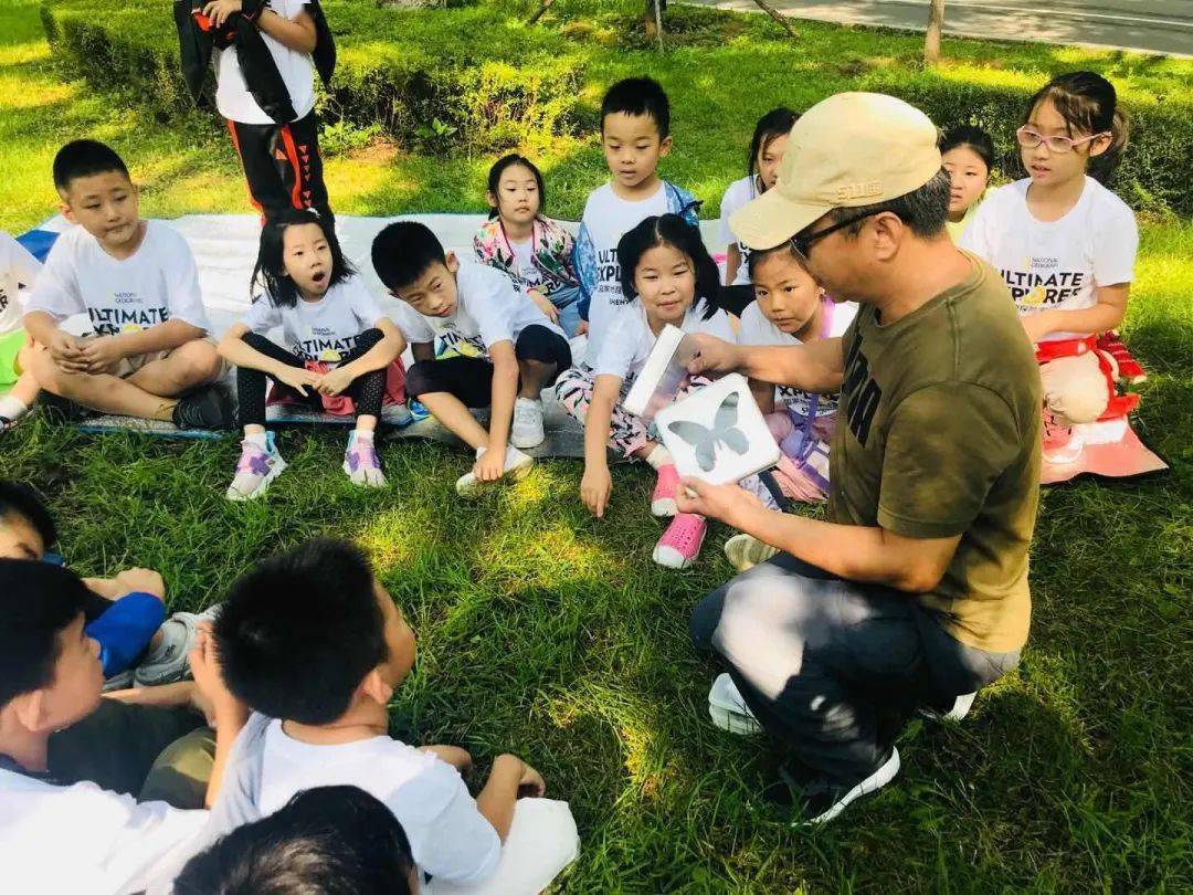 沈阳仿真树_仿真芭蕉树图片_仿真led树灯