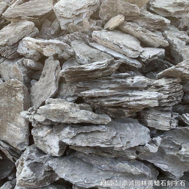 北京仿真绿植墙价格_仿真玫瑰花做成植物墙造型图片_仿真植物墙价格仿真棕榈树