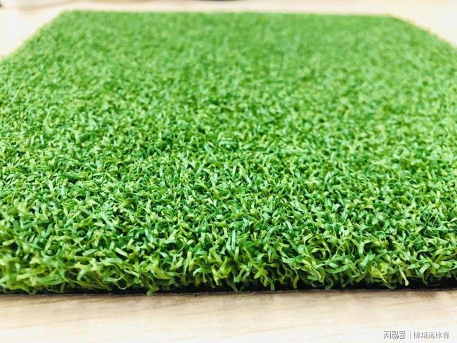 仿真休闲草坪_广州仿真草坪_休闲仿真草坪厂家