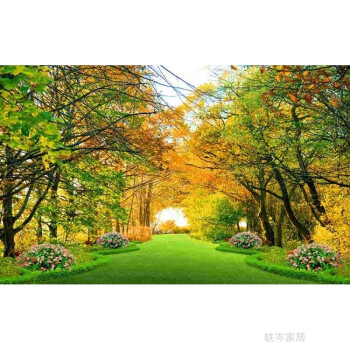 仿真盆景树_仿真芭蕉树_沈阳仿真树