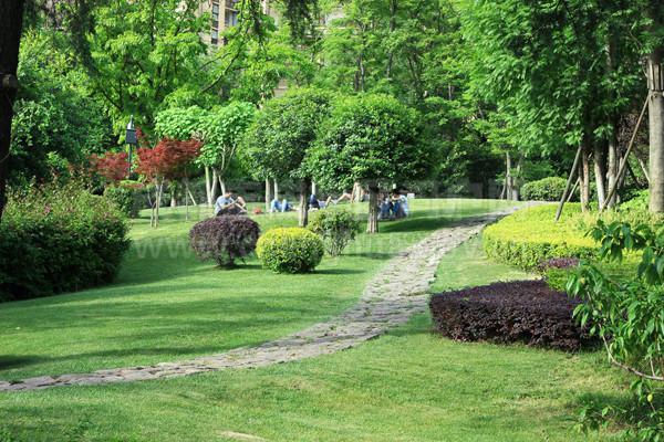 沈阳仿真景观树_沈阳仿真树_仿真热带树