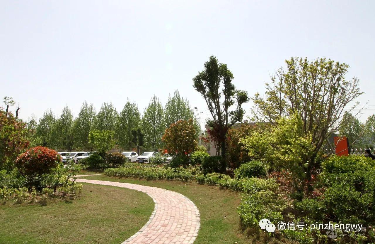 绿化墙植物墙_河南植物墙_仿真绿化墙植物墙