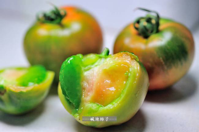 仿真柿子树_吃树柿子有什么好处_梦到打树上的柿子