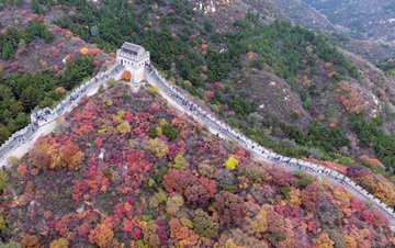 仿真led树灯_仿真树批发_仿真led灯树