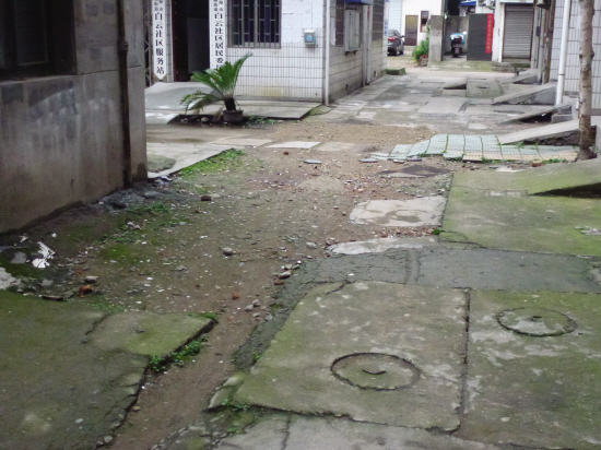 山东水泥假树大门_苏州假树大门_水泥假树大门