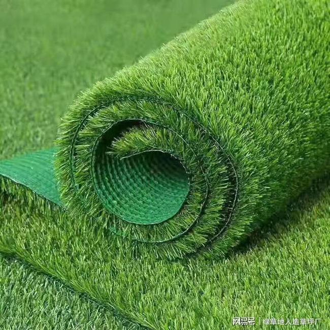 国内仿真草坪十大品牌_广州仿真草坪_仿真草坪