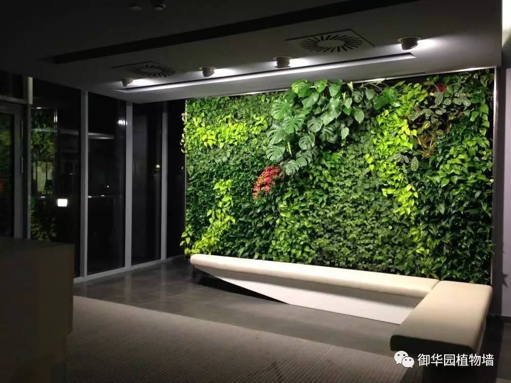 垂直植物墙一般用什么植物_仿真植物墙定制_绿化墙植物墙图片大全