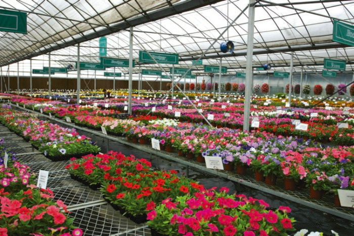 植物墙仿真_广州植物墙设计仿真树厂家_仿真玫瑰花做成植物墙造型图片