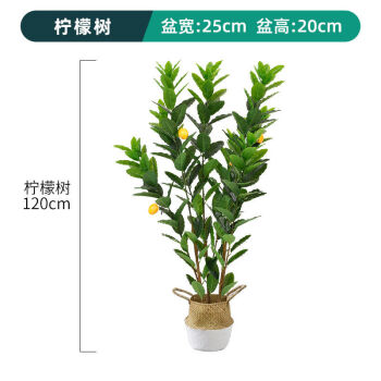 绿化景观树大全_仿真绿化树仿真树_室内仿真绿化效果图