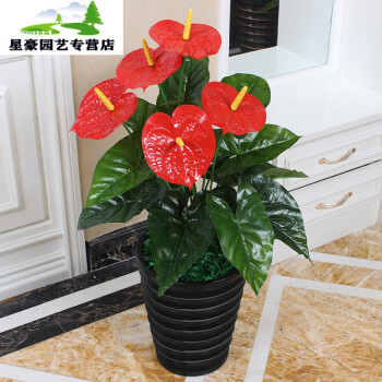 客厅摆设仿真假花_仿花_花千骨妖神仿妆