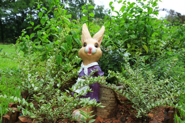 仿真绿植墙_北京仿真绿植_仿真绿植