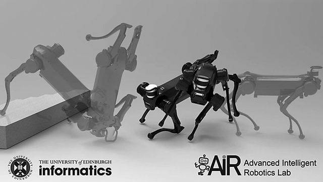 29799动物生理学仿真试卷2013年生物教育专业_仿真动物_动物仿真玩具