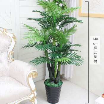 制作仿真树的厂家_仿真树制作厂家大王椰子树_仿真海藻树厂家