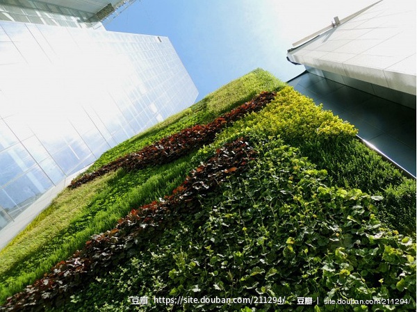 仿真绿植墙做法_倾斜绿化墙植物墙_西安仿真植物墙