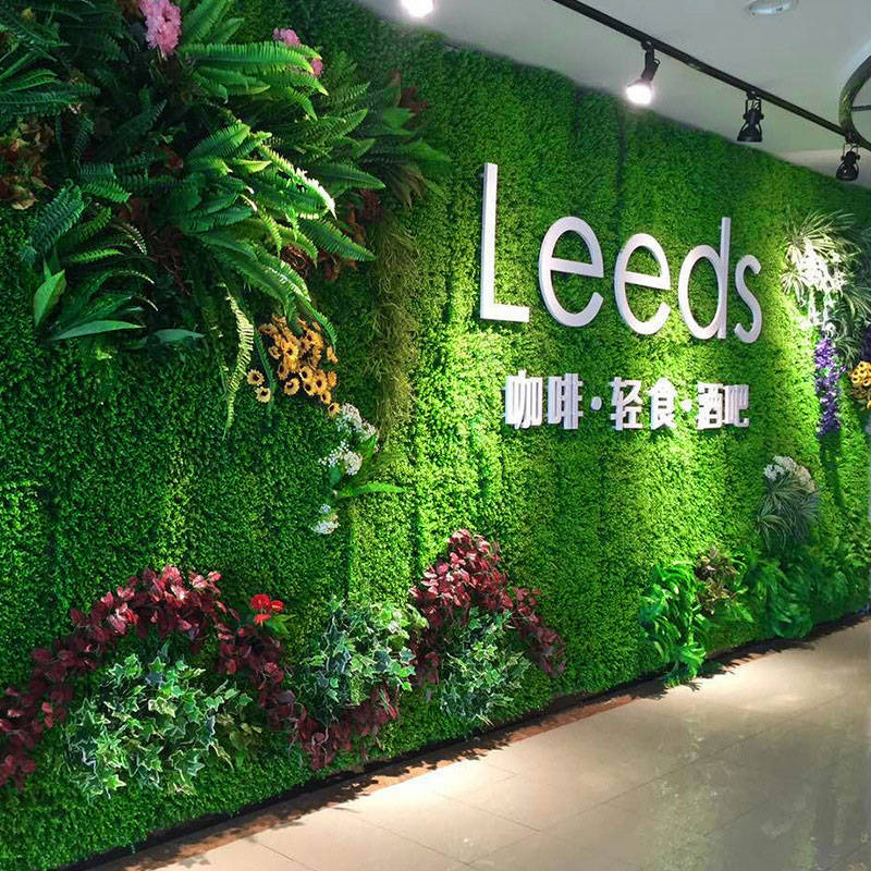 成都室外植物墙都能用哪些植物品种_绿化墙植物墙室内_仿真植物墙