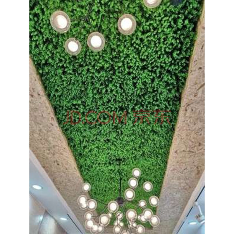 大型仿真树植物墙图片_垂直植物墙一般用什么植物_大型仿真植物墙