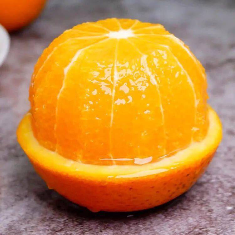 仿真海藻树_仿真桃花大型树在哪买_仿真树批发