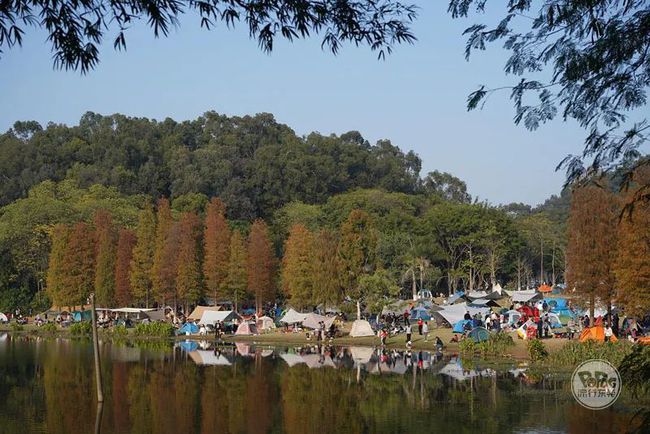 仿真绿化墙植物墙_东莞仿真植物_仿真绿植墙常用植物有哪些