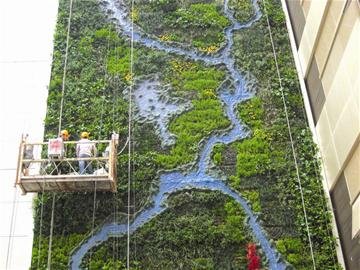 “百变绿墙”亮相武汉 酷似世博法国馆植物墙
