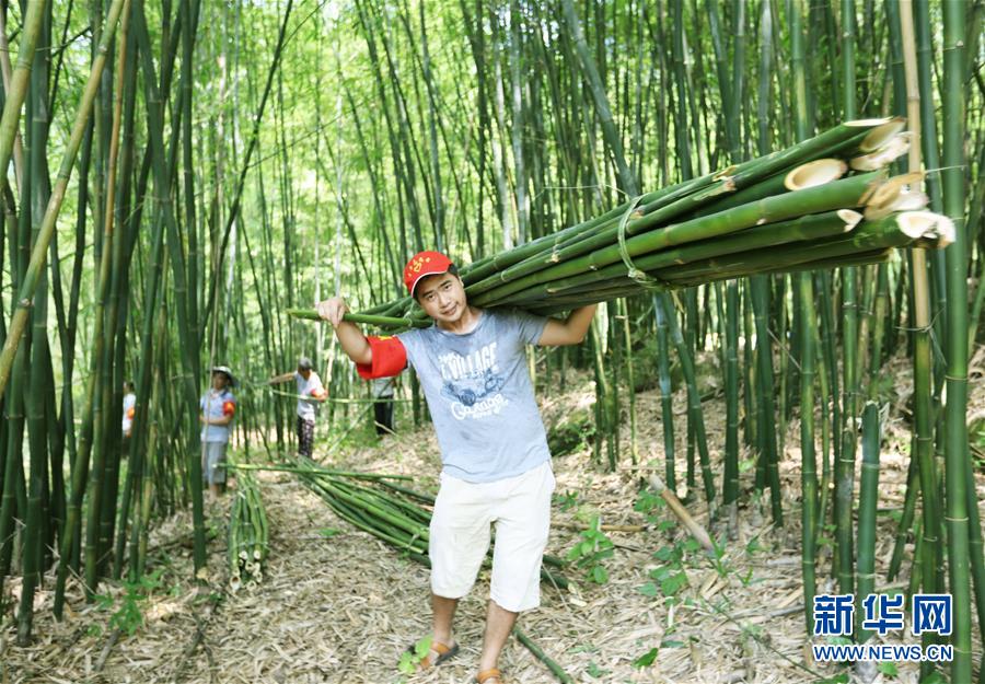仿真竹子_仿真竹子厂家_仿真竹子出售
