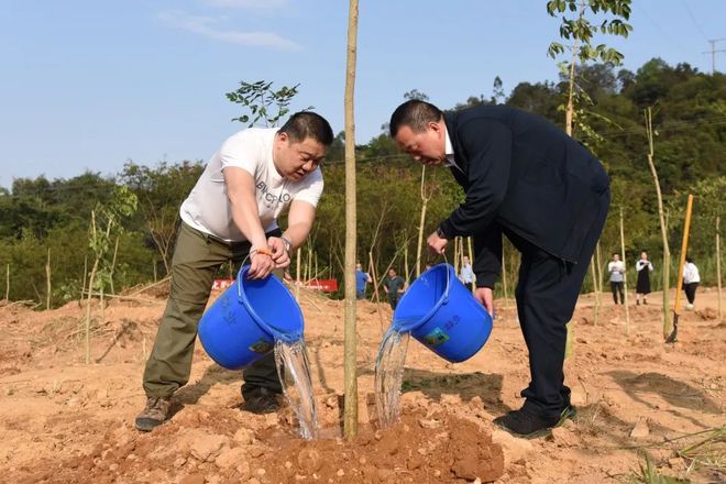 室内仿真塑料树_仿真造型树_东莞仿真树