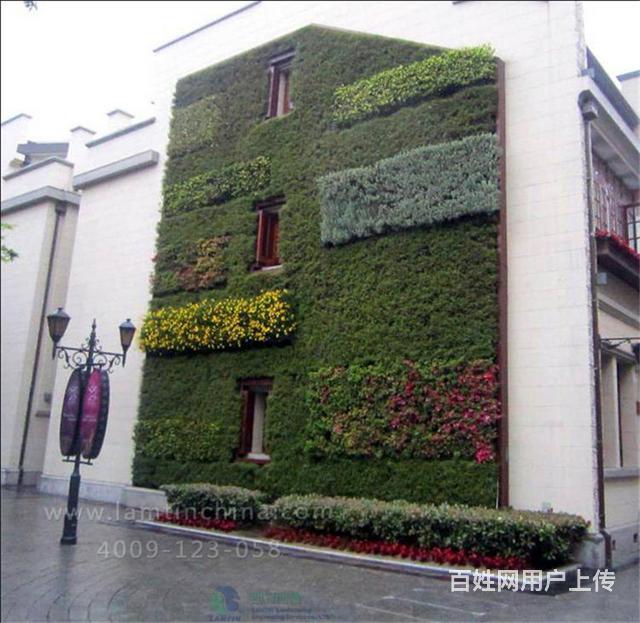 仿真桃花树垂直绿化_仿真垂直绿化植物墙做法_仿真桃花大型树在哪买