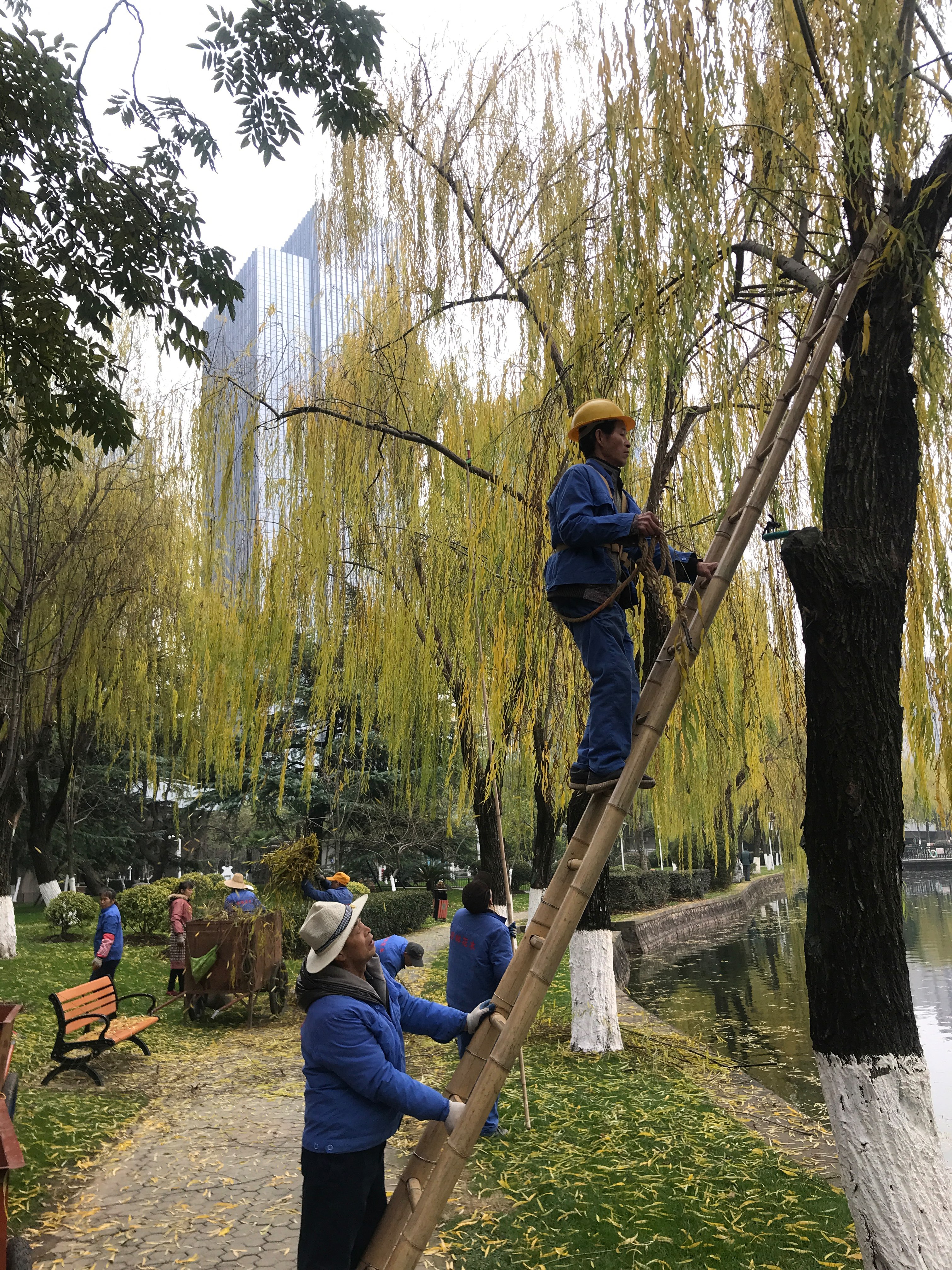 因特仿真公司流体仿真_fluent仿真涡流器仿真_仿真柳树