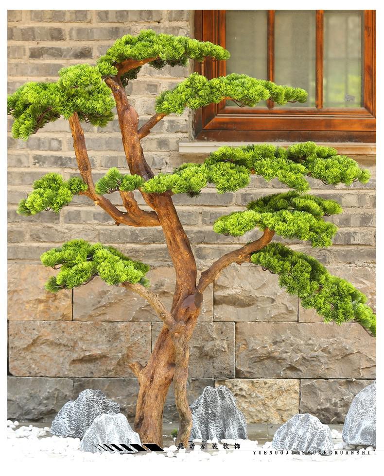 仿真松树_最高的松树是哪种松树_仿真松树盆景价格