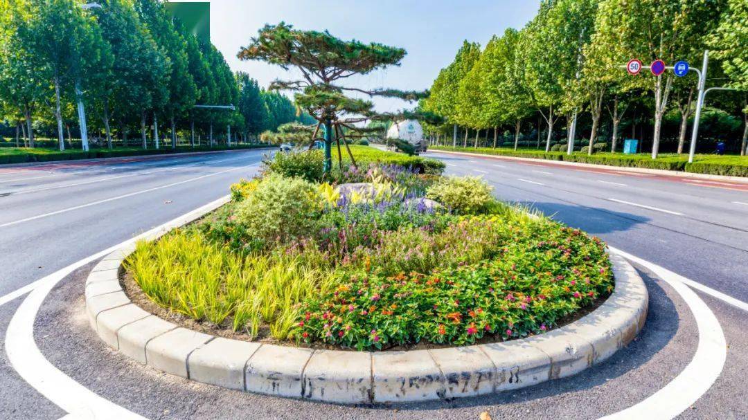 机械系统多体动力学分析、控制与仿真_仿真人体体模_仿真海藻树立体绿化