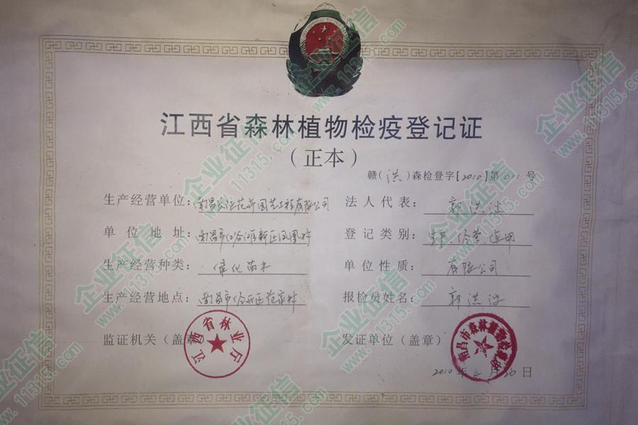 制作仿真树的厂家砍伐森林_仿真假山制作厂家_被砍伐的森林简笔画