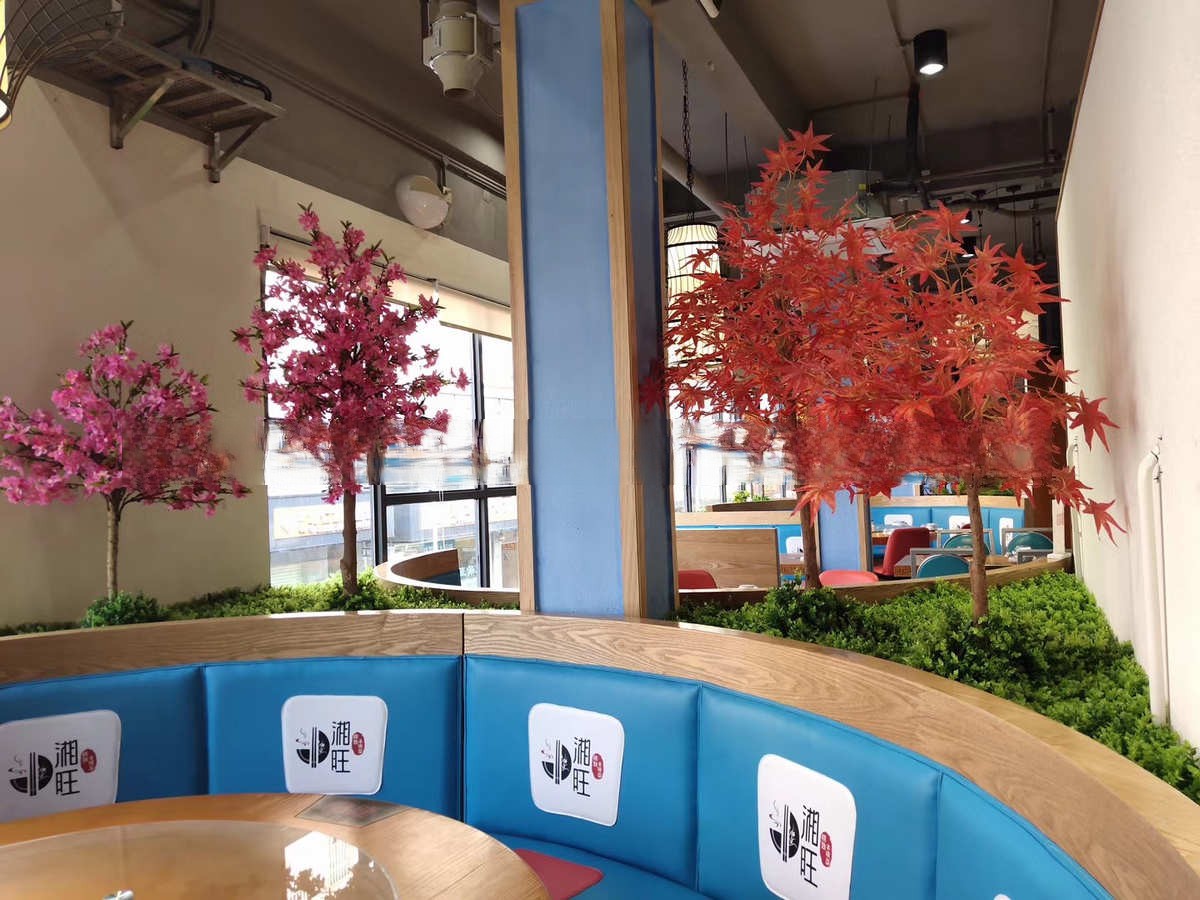 排浦镇 管控热带树的规范，你了解吗？