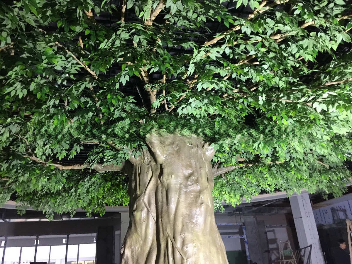 重庆塑料葵树：真实还是虚假？
