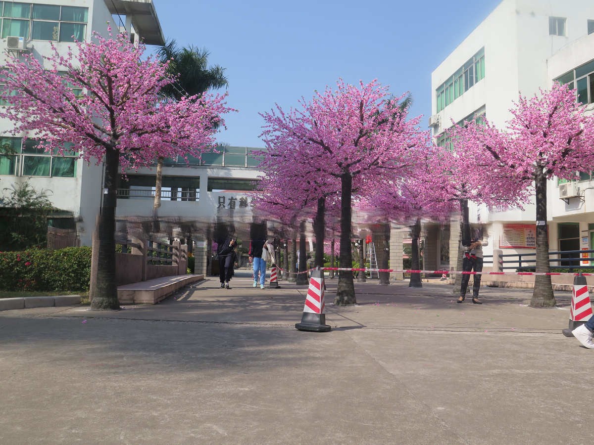 建阳上海红枫仿真树