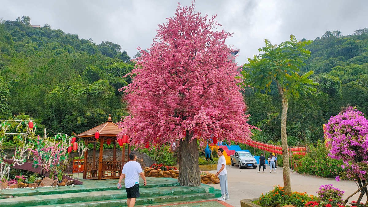 建阳仿真树大型榕树